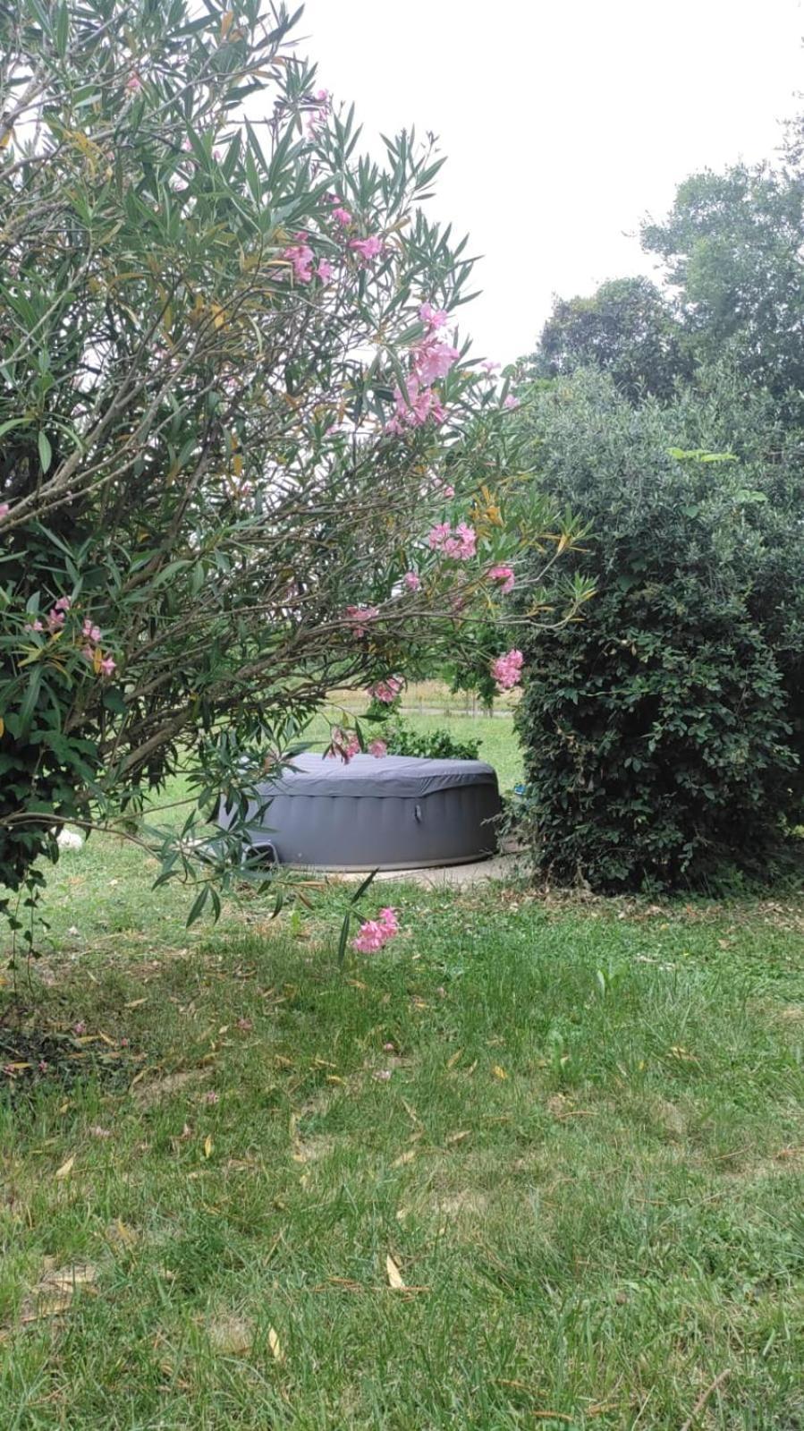 Ferienwohnung Chez Chapelle In The Heart Of The Gascony With Pool And Hot Tub Auch Exterior foto